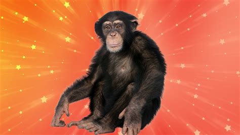 Jogue Great Apes online